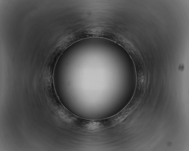 X0000100870609200806201242