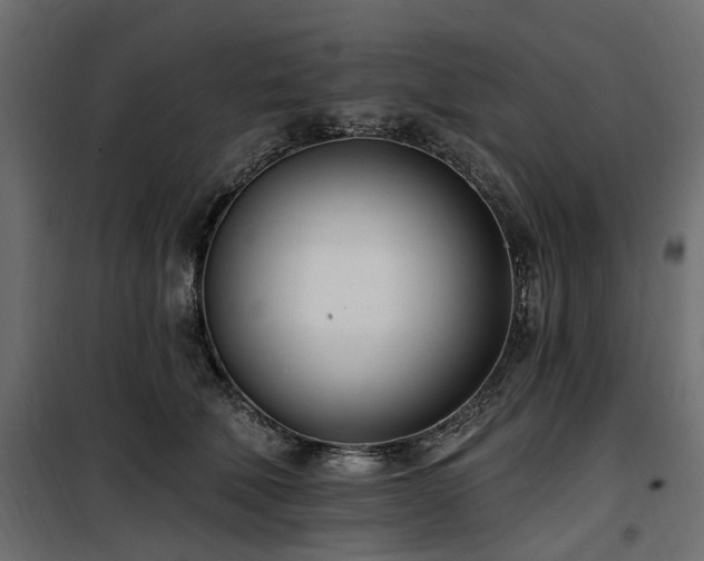 X0000100870610200806201242