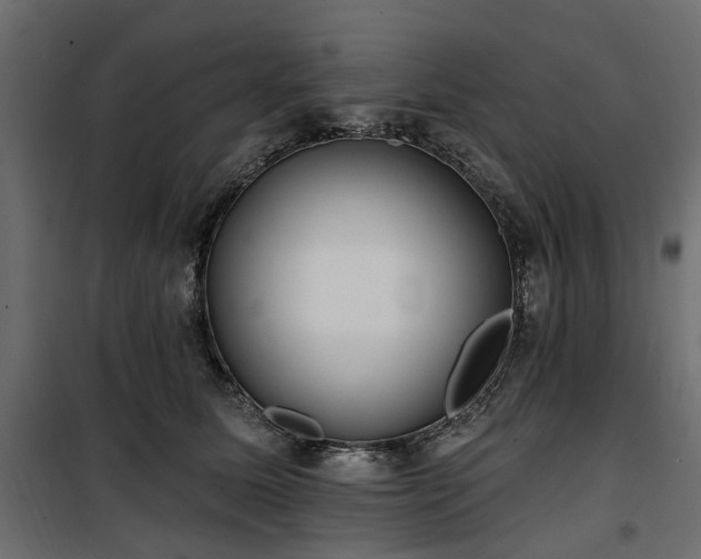 X0000100870611200806201242