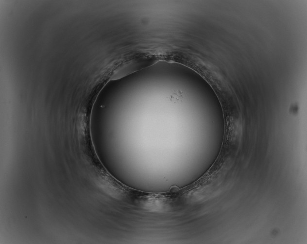 X0000100870612200806201242