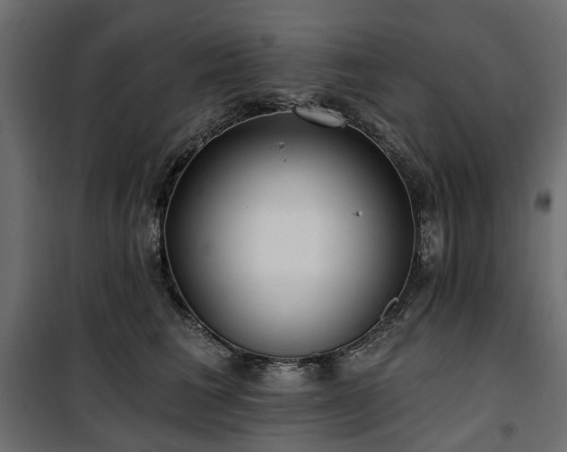 X0000100870613200806201242