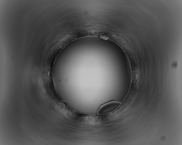 X0000100870615200806201242