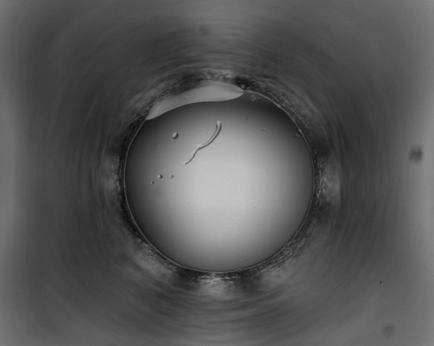 X0000100870616200806201242