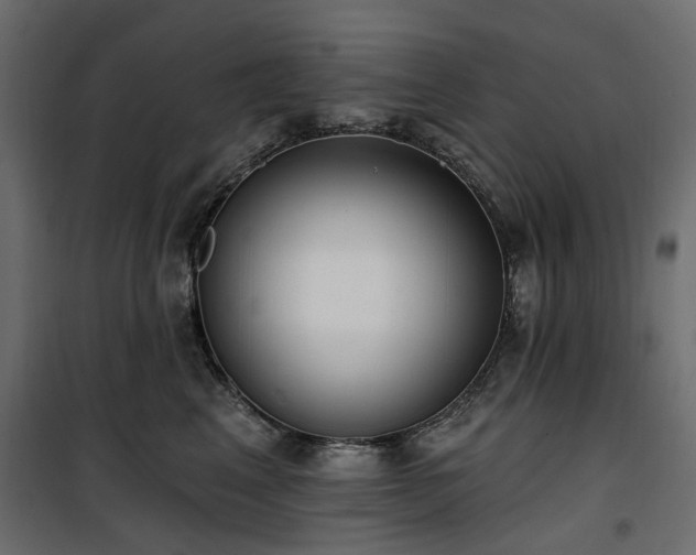 X0000100870617200806201242
