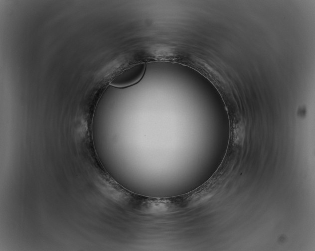 X0000100870618200806201242