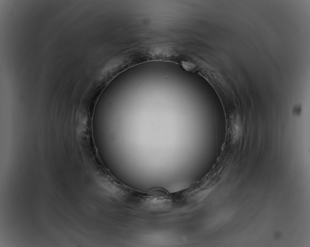 X0000100870619200806201242