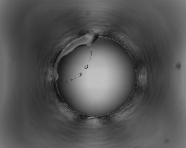 X0000100870620200806201242