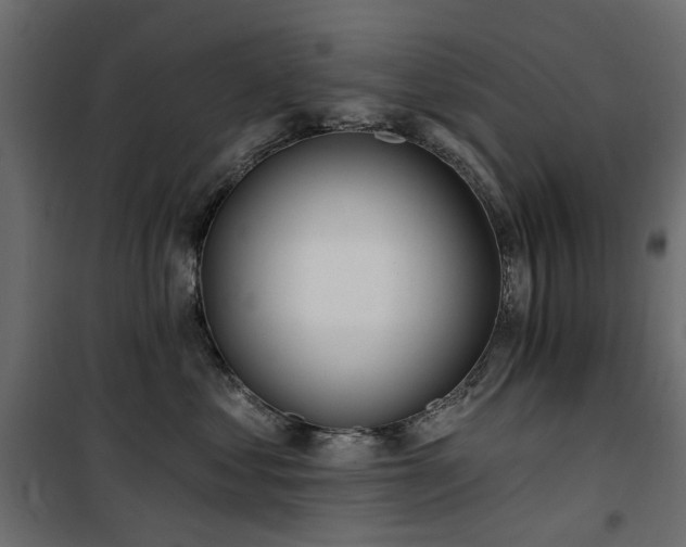 X0000100870621200806201242