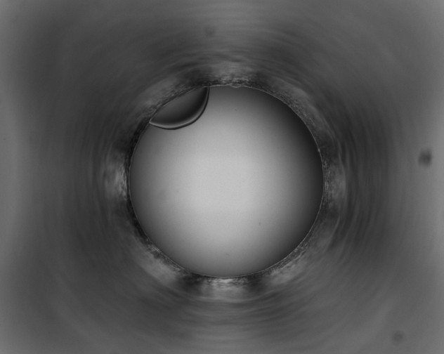 X0000100870622200806201242