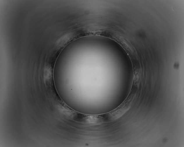X0000100870623200806201242