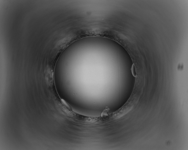 X0000100870624200806201242