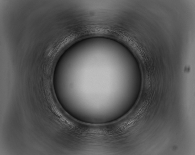 X0000100870625200806201241