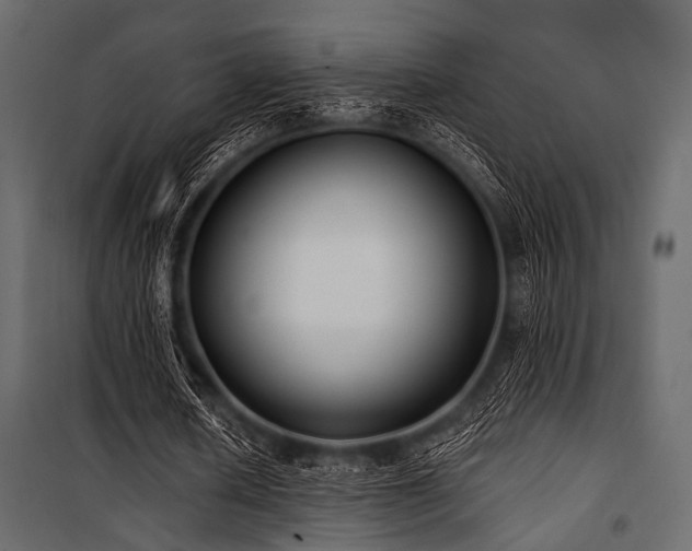 X0000100870626200806201241