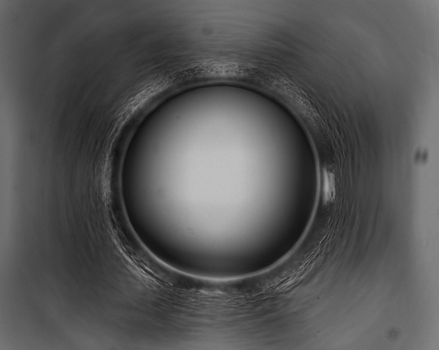 X0000100870627200806201241
