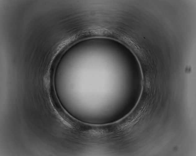 X0000100870630200806201241