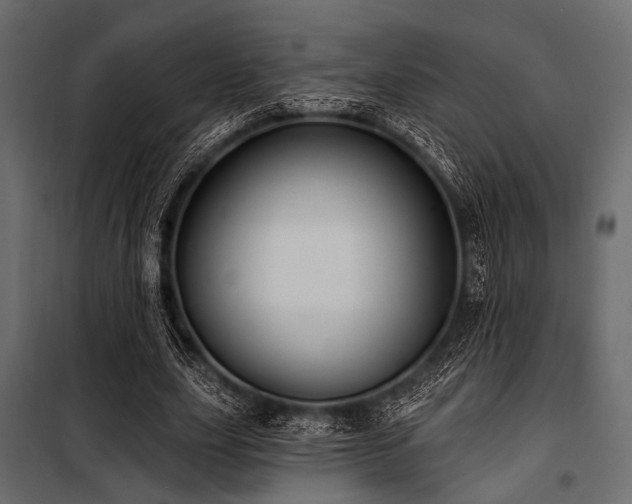 X0000100870631200806201241