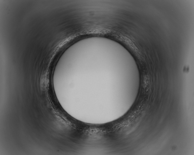 X0000100870632200806201241