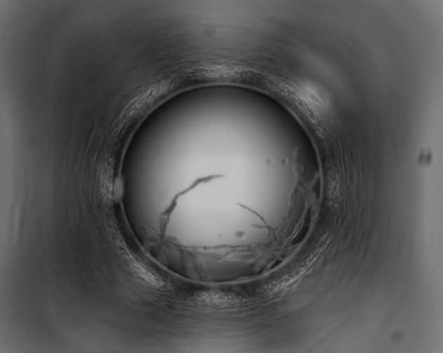 X0000100870633200806201241