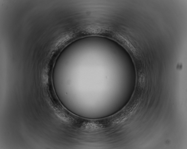X0000100870635200806201241