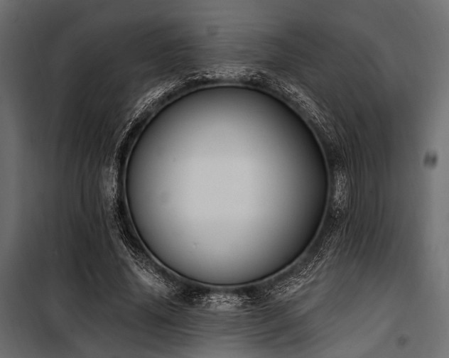 X0000100870636200806201241