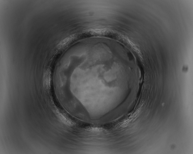 X0000100870637200806201242