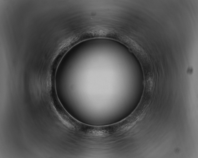 X0000100870638200806201242
