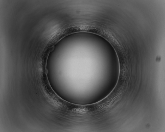 X0000100870639200806201242