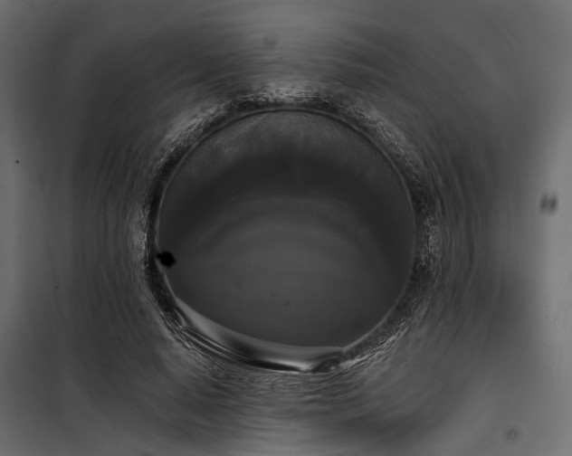 X0000100870640200806201242