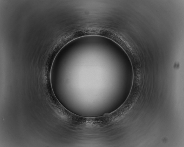 X0000100870641200806201242