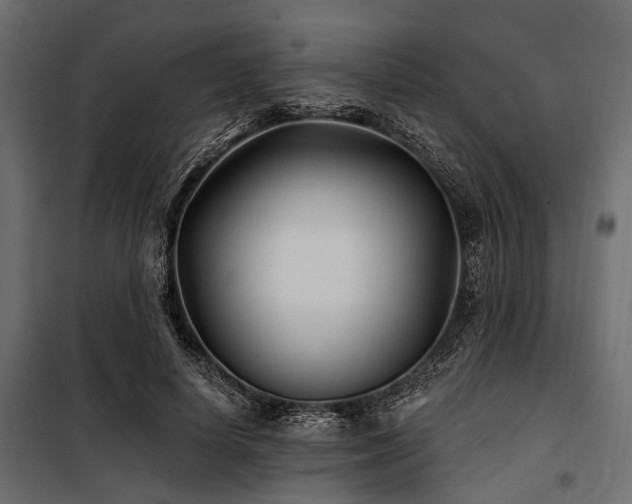 X0000100870642200806201242