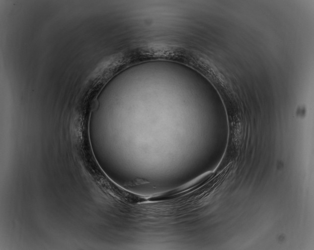 X0000100870643200806201242