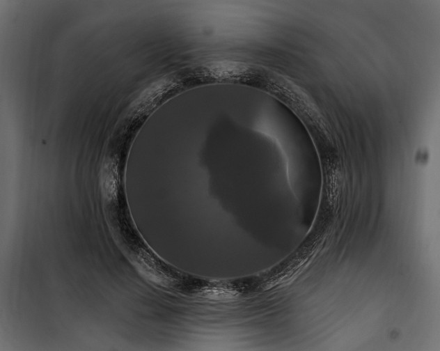 X0000100870644200806201242