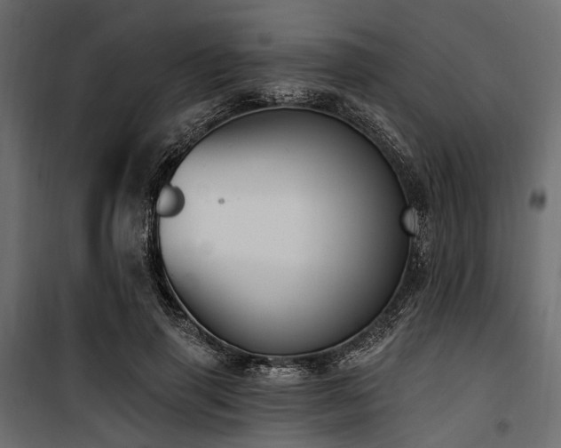 X0000100870645200806201242