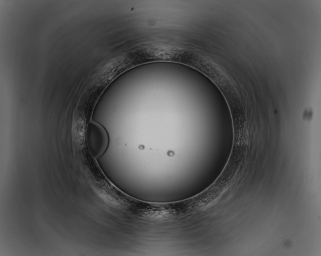 X0000100870646200806201242