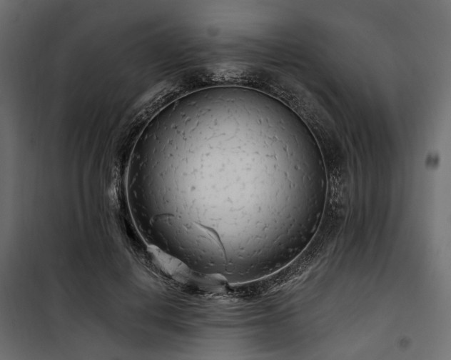 X0000100870648200806201242