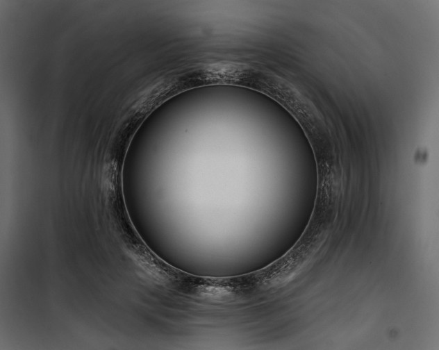 X0000100870649200806201242