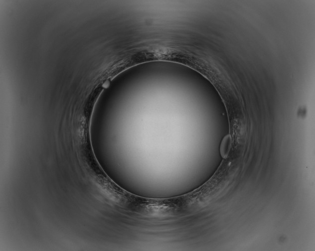 X0000100870650200806201242