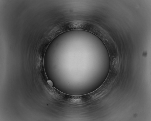 X0000100870651200806201242