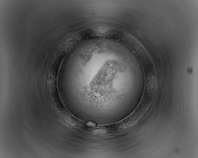 X0000100870653200806201242