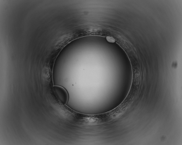 X0000100870654200806201242