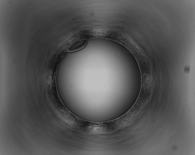 X0000100870655200806201242