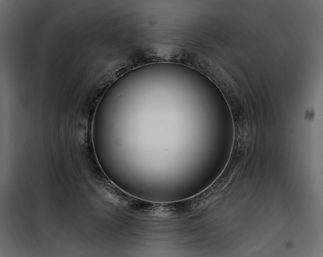 X0000100870656200806201242