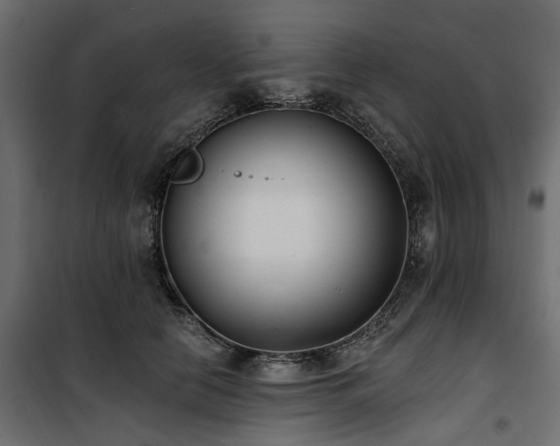 X0000100870658200806201242