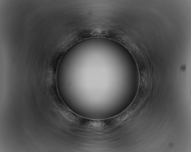 X0000100870659200806201242
