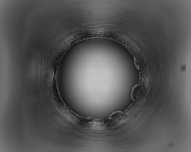 X0000100870660200806201242