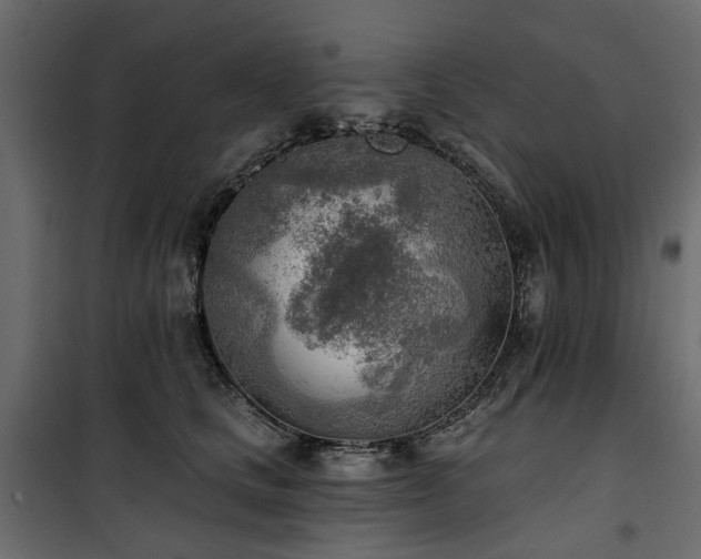 X0000100870661200806201242