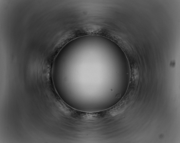 X0000100870664200806201242