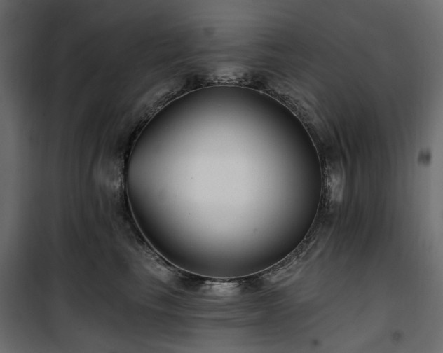 X0000100870665200806201242
