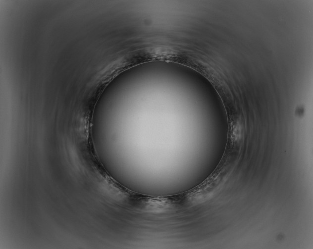 X0000100870666200806201242