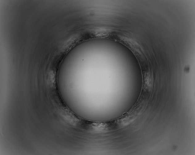X0000100870667200806201242